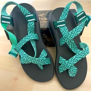 NIB Chaco Z Cloud in Tidal Katydid